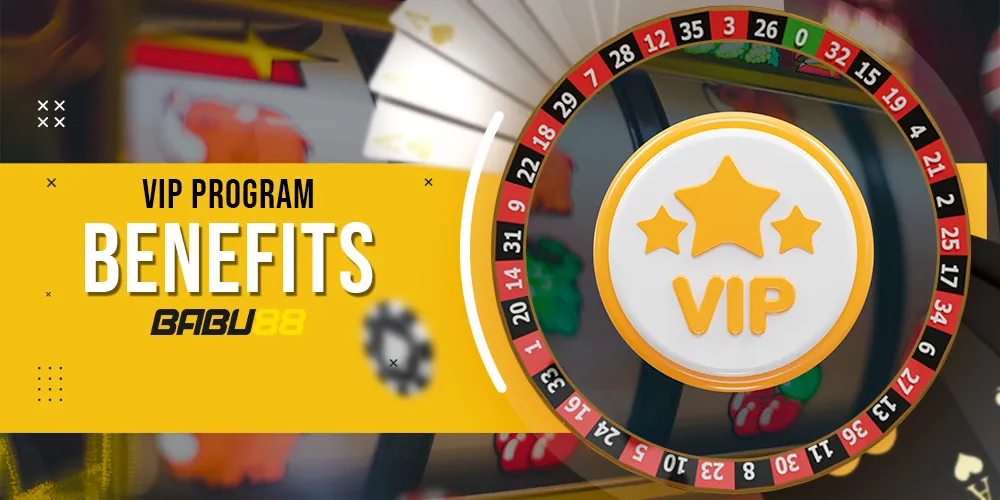 Advantages of using the VIP programme